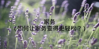 家务(如何让家务变得更轻松？)