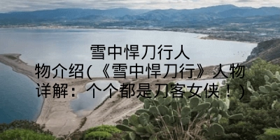 雪中悍刀行人物介绍(《雪中悍刀行》人物详解：个个都是刀客女侠！)