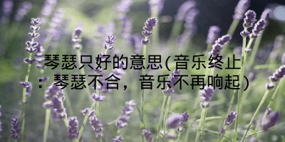 琴瑟只好的意思(音乐终止：琴瑟不合，音乐不再响起)