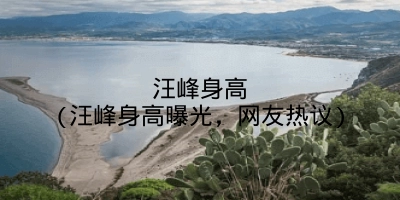 汪峰身高(汪峰身高曝光，网友热议)