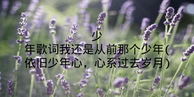 少年歌词我还是从前那个少年(依旧少年心，心系过去岁月)