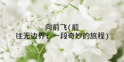 向前飞(前往无边界：一段奇妙的旅程)