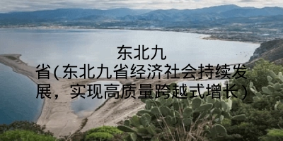 东北九省(东北九省经济社会持续发展，实现高质量跨越式增长)