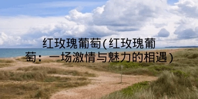 红玫瑰葡萄(红玫瑰葡萄：一场激情与魅力的相遇)