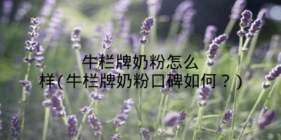 牛栏牌奶粉怎么样(牛栏牌奶粉口碑如何？)
