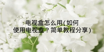 电视盒怎么用(如何使用电视盒？简单教程分享)