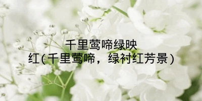 千里莺啼绿映红(千里莺啼，绿衬红芳景)