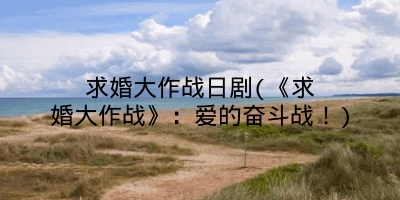 求婚大作战日剧(《求婚大作战》：爱的奋斗战！)