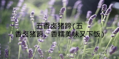 五香卤猪蹄(五香卤猪蹄，香糯美味又下饭)