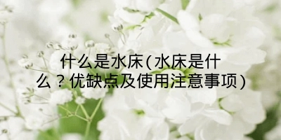 什么是水床(水床是什么？优缺点及使用注意事项)