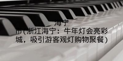 海宁市(浙江海宁：牛年灯会亮彩城，吸引游客观灯购物聚餐)