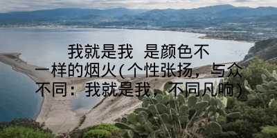 我就是我 是颜色不一样的烟火(个性张扬，与众不同：我就是我，不同凡响)