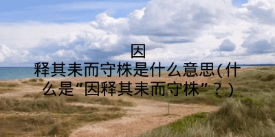 因释其耒而守株是什么意思(什么是“因释其耒而守株”？)