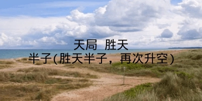 天局 胜天半子(胜天半子，再次升空)