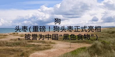 狗头枣(重磅！狗头枣正式亮相，被誉为中国“黑色食物”)