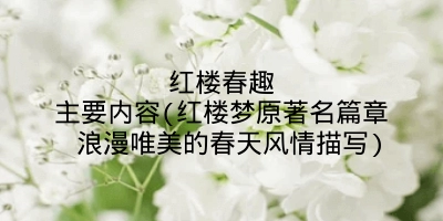 红楼春趣主要内容(红楼梦原著名篇章 浪漫唯美的春天风情描写)