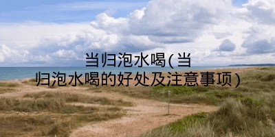 当归泡水喝(当归泡水喝的好处及注意事项)