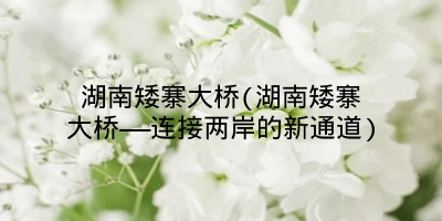 湖南矮寨大桥(湖南矮寨大桥——连接两岸的新通道)