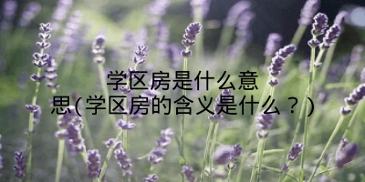 学区房是什么意思(学区房的含义是什么？)