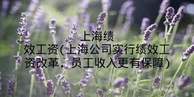 上海绩效工资(上海公司实行绩效工资改革，员工收入更有保障)