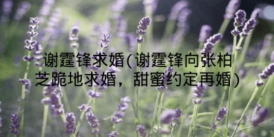 谢霆锋求婚(谢霆锋向张柏芝跪地求婚，甜蜜约定再婚)