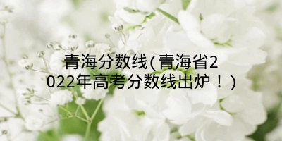 青海分数线(青海省2022年高考分数线出炉！)