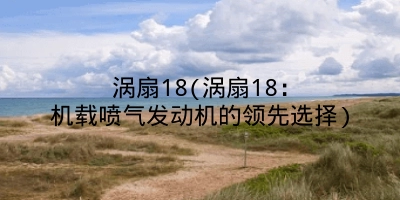 涡扇18(涡扇18：机载喷气发动机的领先选择)