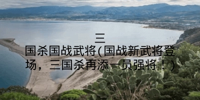 三国杀国战武将(国战新武将登场，三国杀再添一员强将！)