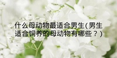 什么母动物最适合男生(男生适合饲养的母动物有哪些？)