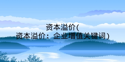 资本溢价(资本溢价：企业增值关键词)