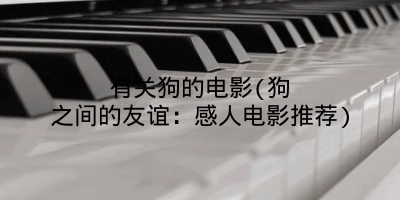 有关狗的电影(狗之间的友谊：感人电影推荐)
