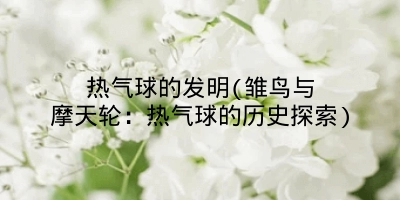 热气球的发明(雏鸟与摩天轮：热气球的历史探索)