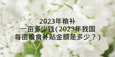 2023年粮补一亩多少钱(2023年我国每亩粮食补贴金额是多少？)