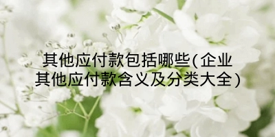其他应付款包括哪些(企业其他应付款含义及分类大全)