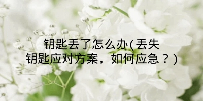钥匙丢了怎么办(丢失钥匙应对方案，如何应急？)