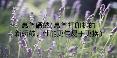 惠普硒鼓(惠普打印机的新硒鼓，性能更佳易于更换)