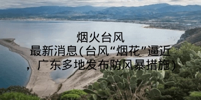 烟火台风最新消息(台风“烟花”逼近，广东多地发布防风暴措施)