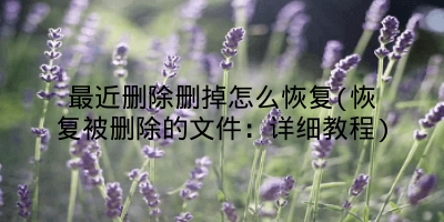最近删除删掉怎么恢复(恢复被删除的文件：详细教程)