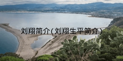 刘翔简介(刘翔生平简介)