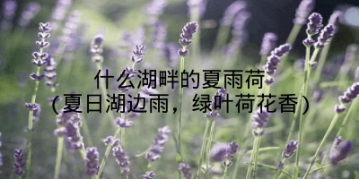 什么湖畔的夏雨荷(夏日湖边雨，绿叶荷花香)