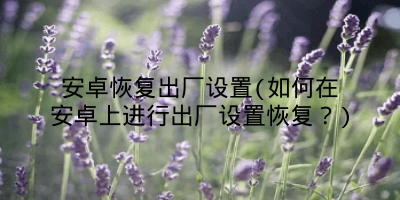 安卓恢复出厂设置(如何在安卓上进行出厂设置恢复？)