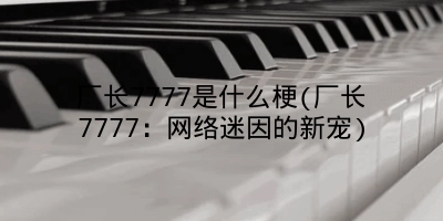 厂长7777是什么梗(厂长7777：网络迷因的新宠)