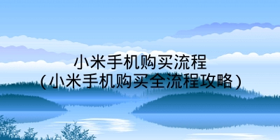 小米手机购买流程(小米手机购买全流程攻略)