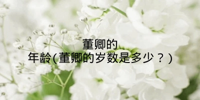 董卿的年龄(董卿的岁数是多少？)