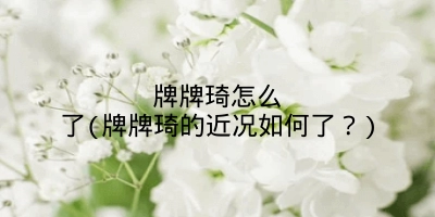 牌牌琦怎么了(牌牌琦的近况如何了？)