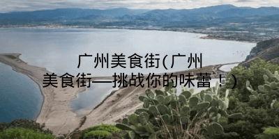 广州美食街(广州美食街——挑战你的味蕾！)