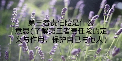 第三者责任险是什么意思(了解第三者责任险的定义与作用，保护自己与他人)