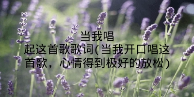 当我唱起这首歌歌词(当我开口唱这首歌，心情得到极好的放松)