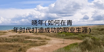 晓年(如何在青年时代打造成功的职业生涯)