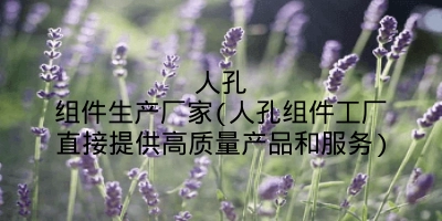 人孔组件生产厂家(人孔组件工厂直接提供高质量产品和服务)